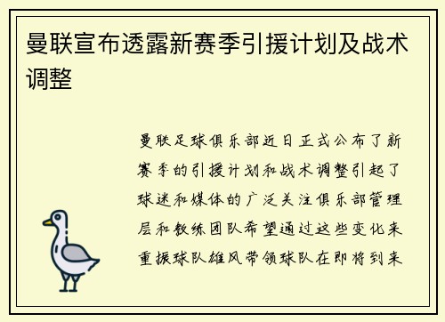 曼联宣布透露新赛季引援计划及战术调整