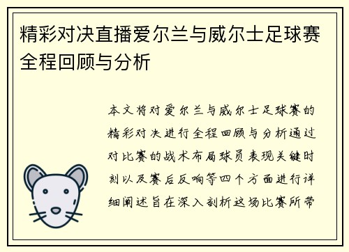 精彩对决直播爱尔兰与威尔士足球赛全程回顾与分析