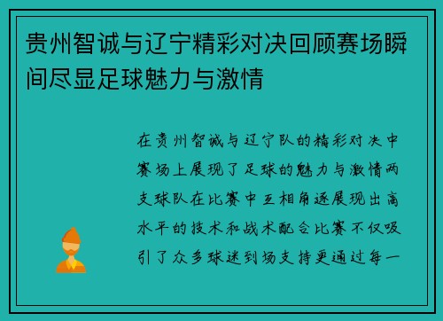 贵州智诚与辽宁精彩对决回顾赛场瞬间尽显足球魅力与激情