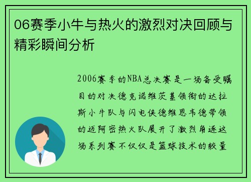 06赛季小牛与热火的激烈对决回顾与精彩瞬间分析
