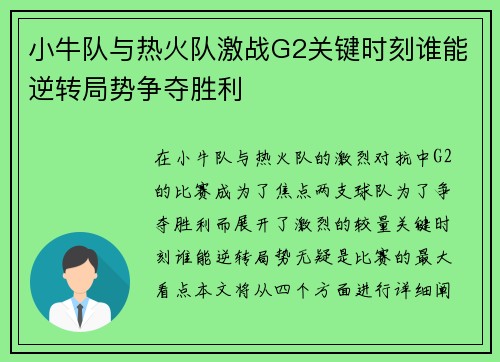 小牛队与热火队激战G2关键时刻谁能逆转局势争夺胜利