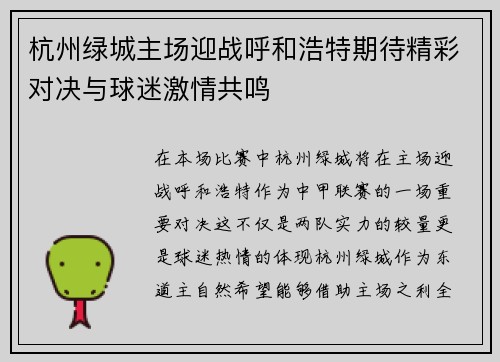 杭州绿城主场迎战呼和浩特期待精彩对决与球迷激情共鸣