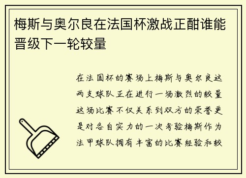梅斯与奥尔良在法国杯激战正酣谁能晋级下一轮较量
