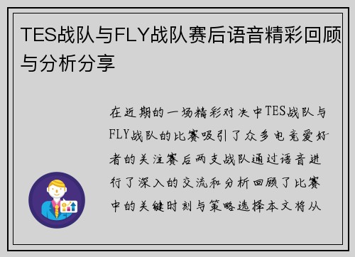 TES战队与FLY战队赛后语音精彩回顾与分析分享