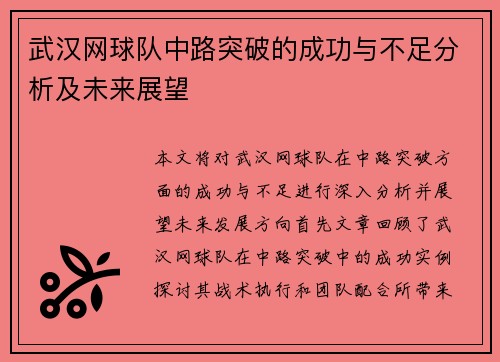 武汉网球队中路突破的成功与不足分析及未来展望